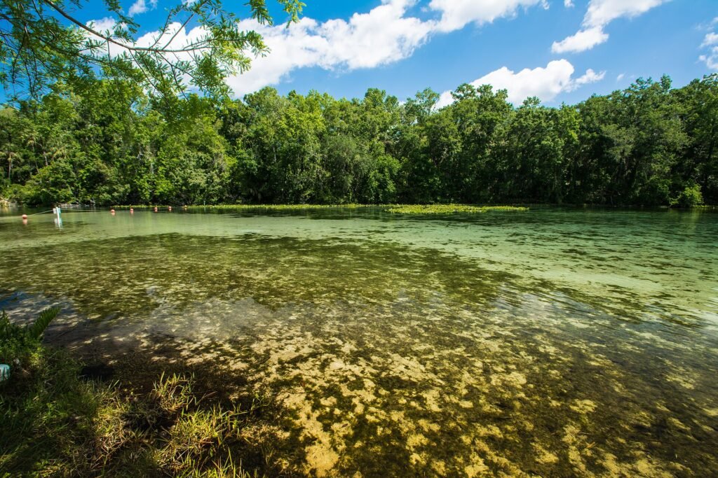Alexander Springs, a Florida spring