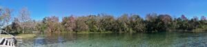 Alexander Springs, a Florida spring