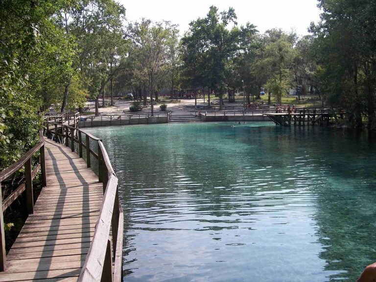 Gilchrist Blue Springs, a Florida spring