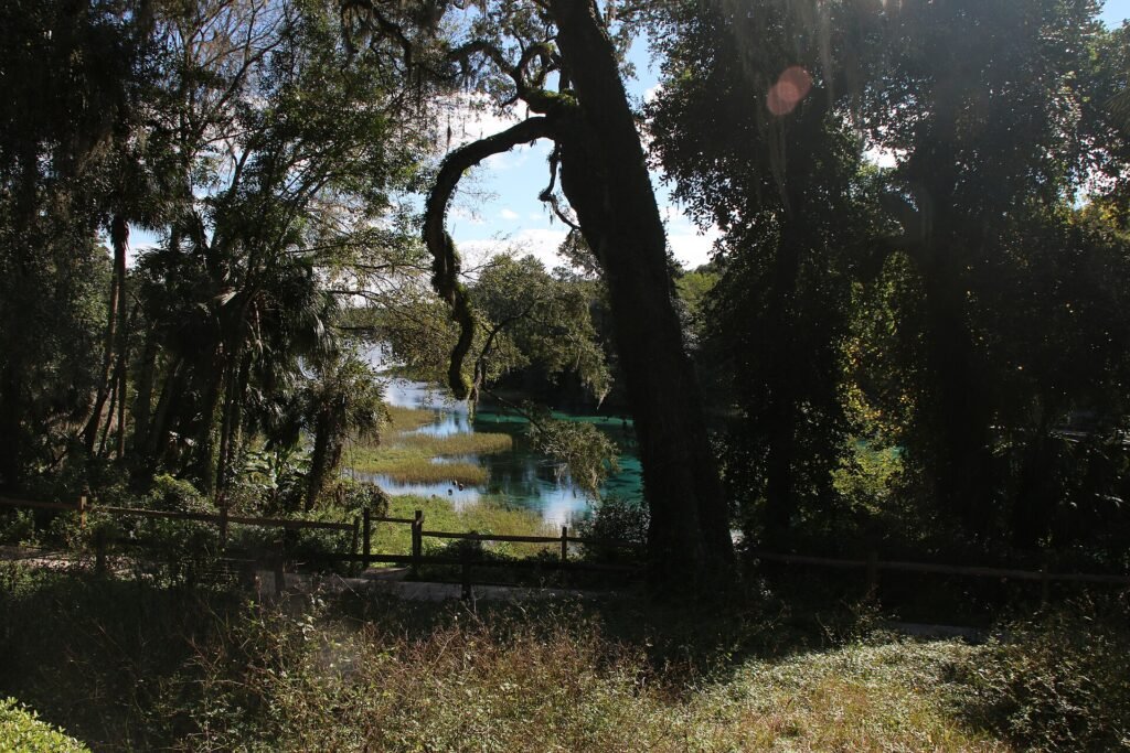 Rainbow Springs, a Florida spring