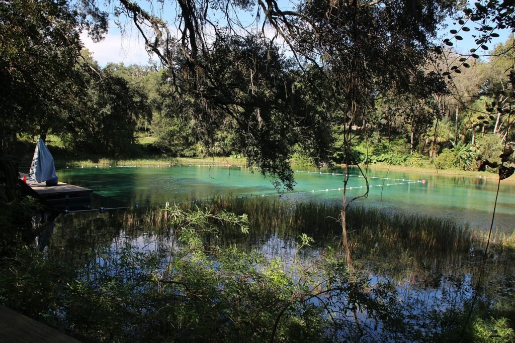 Rainbow Springs, a Florida spring