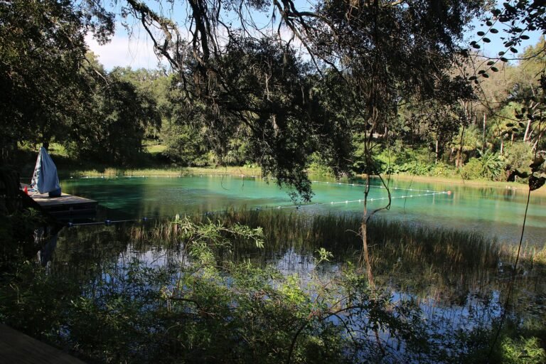 Rainbow Springs, a Florida spring
