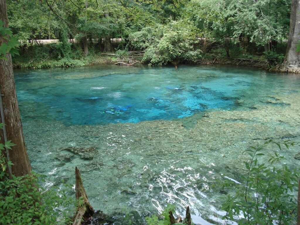Ginnie Springs, a Florida spring