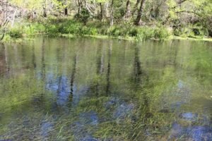 Ichetucknee Springs, a Florida spring