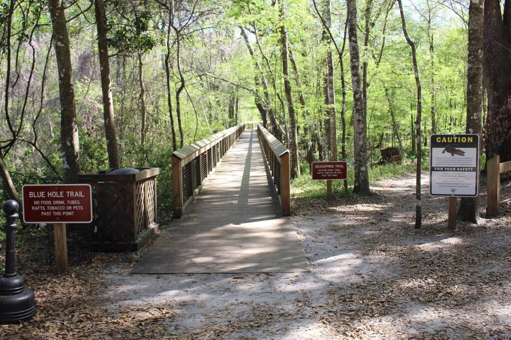 Ichetucknee Springs, a Florida spring