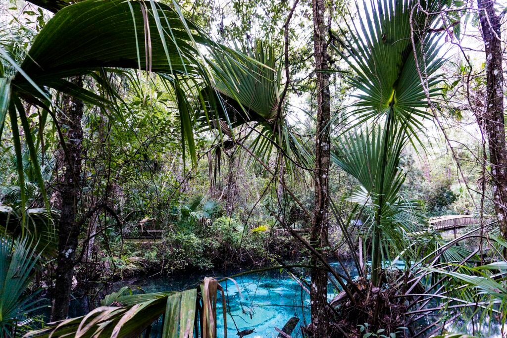 Juniper Springs, a Florida spring