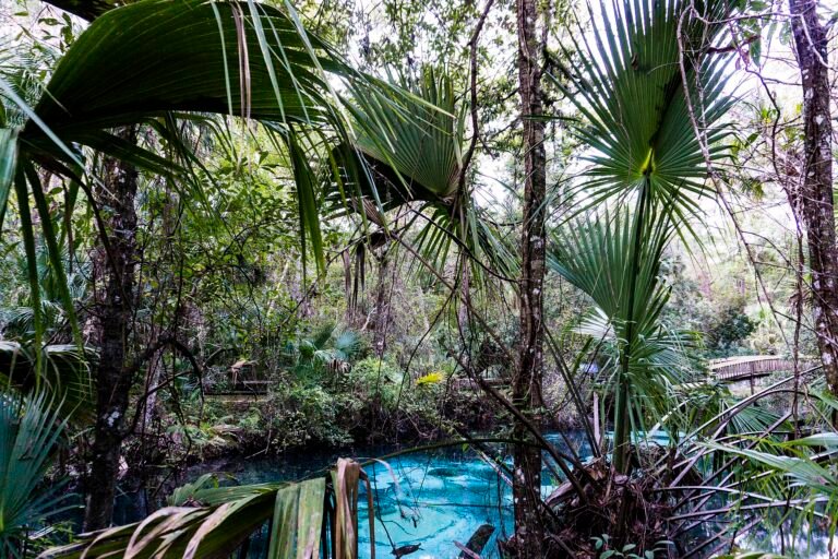 Juniper Springs, a Florida spring