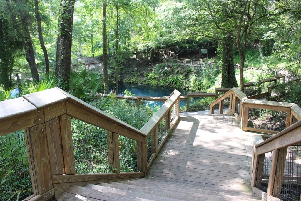 Madison Blue Spring, a Florida spring