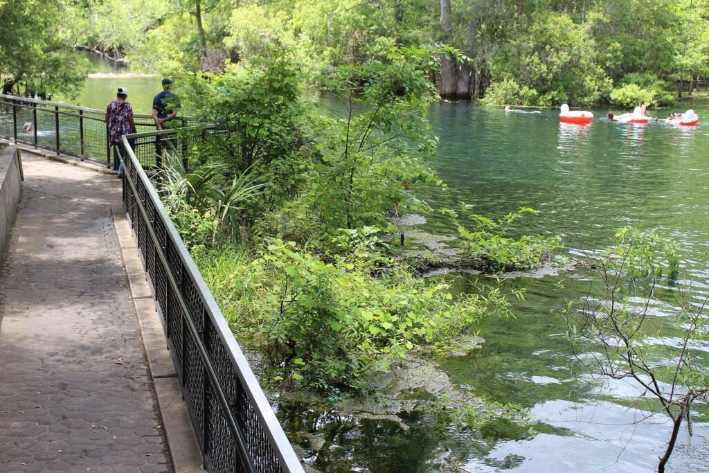 Manatee Springs, a Florida spring