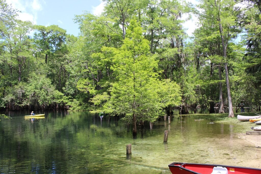 Manatee Springs, a Florida spring