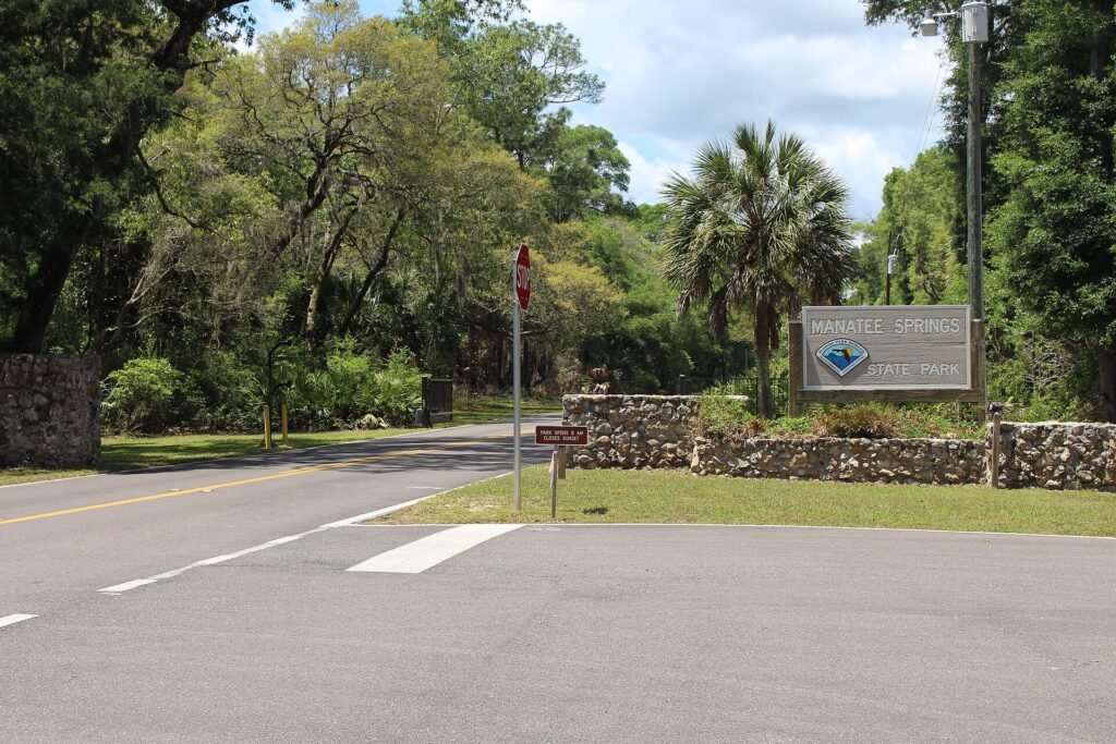 Manatee Springs, a Florida spring