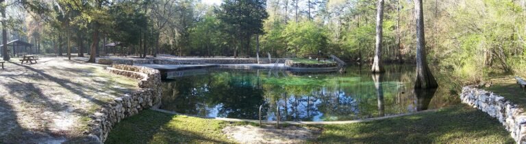 Ponce de Leon Springs, a Florida spring