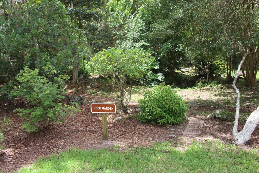 Silver Springs, a Florida spring