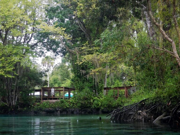 Three Sisters Springs, a Florida spring