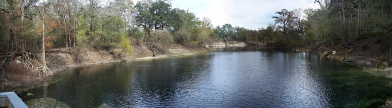Troy Spring, a Florida spring