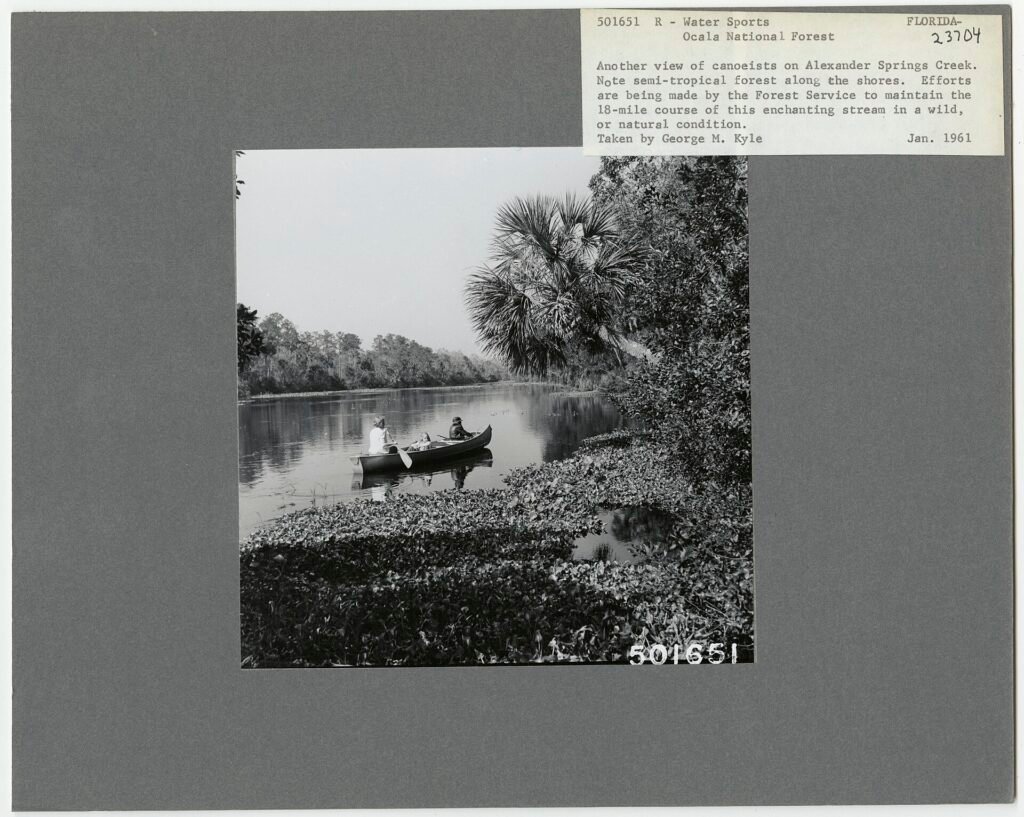 Alexander Springs, a Florida spring