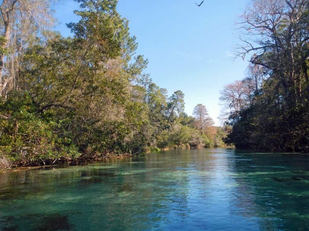 Weeki Wachee Springs, a Florida spring