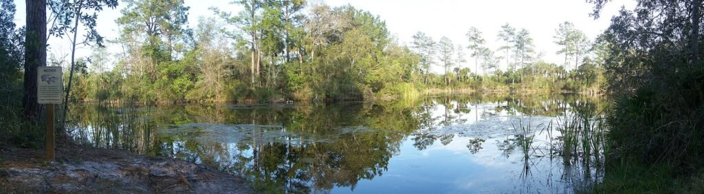 Wekiwa Springs, a Florida spring