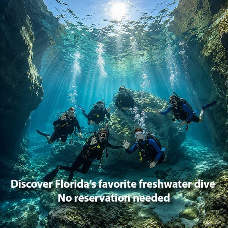 Blue Grotto, a spring-fed diving basin in Williston, Florida