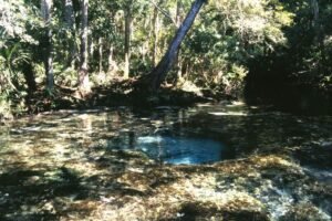 Chassahowitzka Spring, Florida