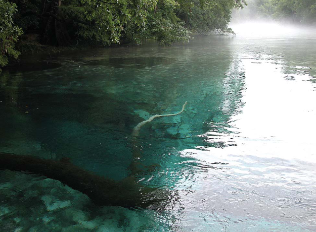 Cypress Spring on Holmes Creek, Vernon, Florida