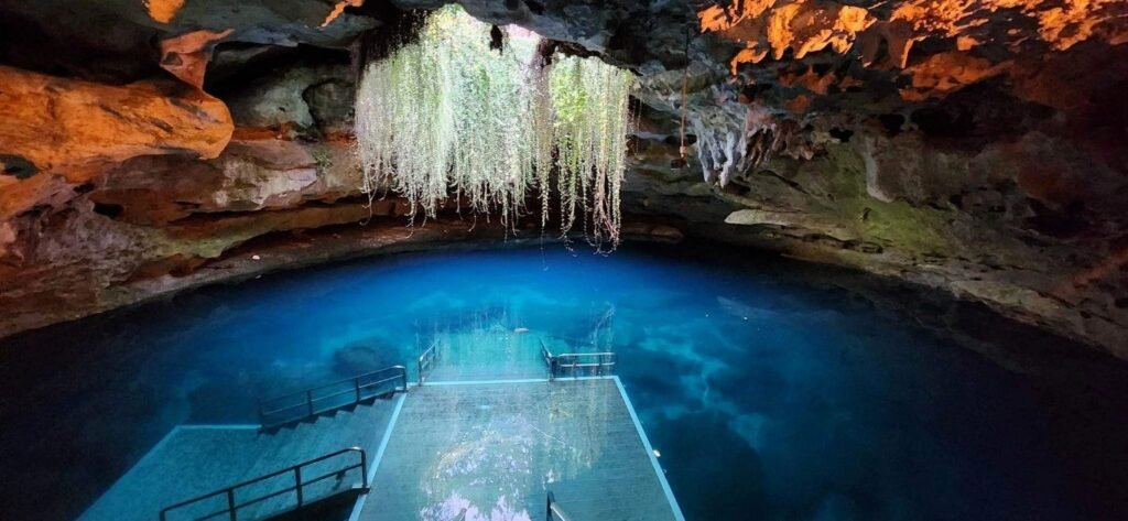 Devil's Den, a prehistoric spring cave in Williston, Florida