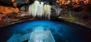Devil's Den, a prehistoric spring cave in Williston, Florida