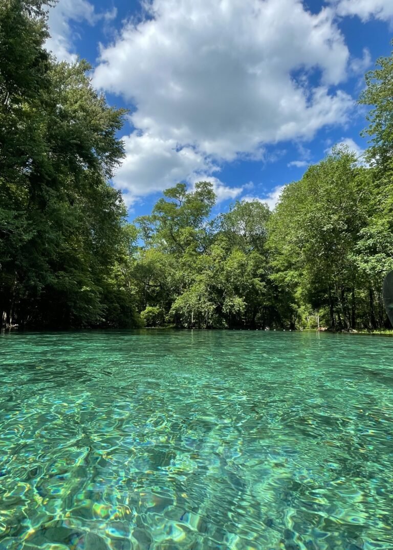 Swimmers and kayakers at Gilchrist Blue Springs State Park, Florida