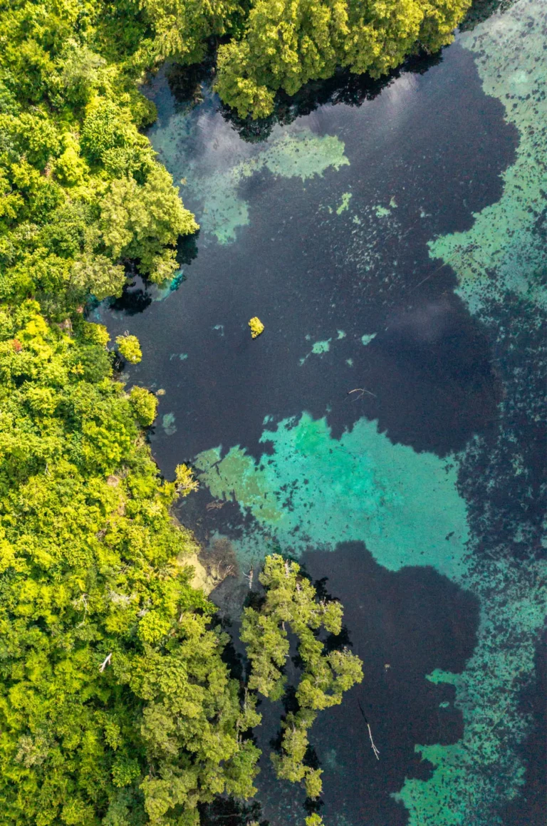 Aerial view of Jackson Blue Spring and Merritts Mill Pond, Marianna, Florida