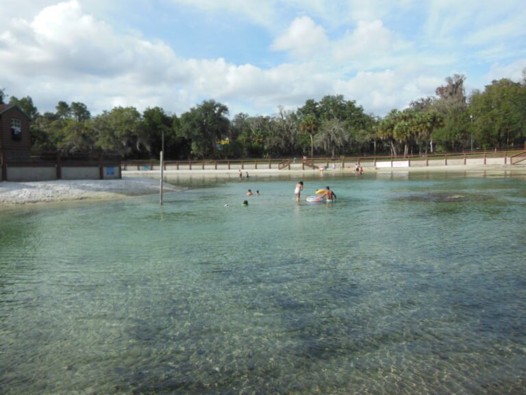 Swimming area at Lithia Springs Park, Florida