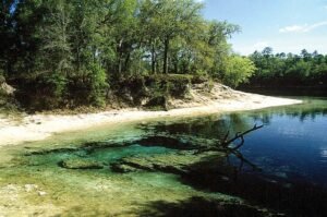Little River Spring, Florida