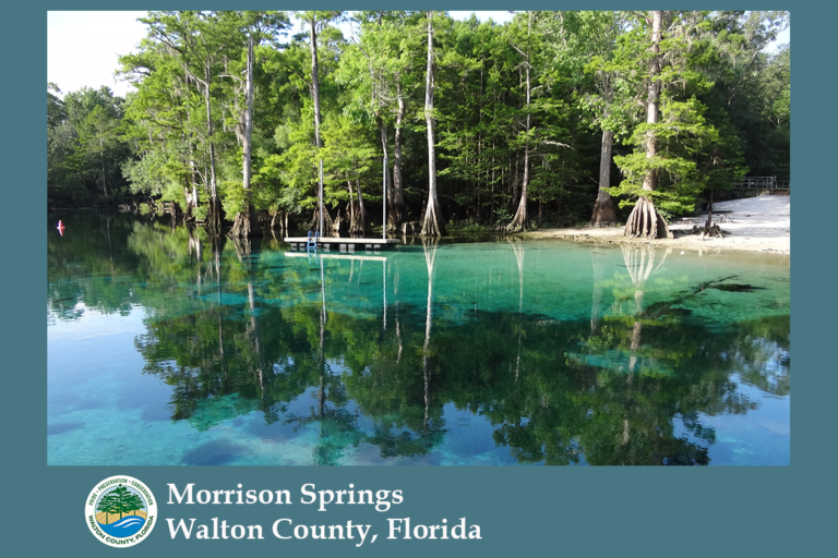 Morrison Springs, a spring-fed park in Walton County, Florida