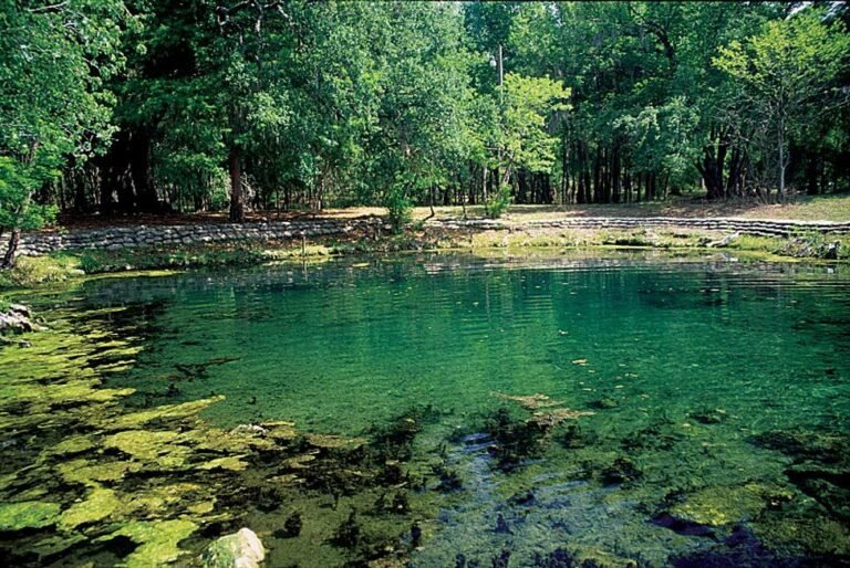 Otter Springs, Florida