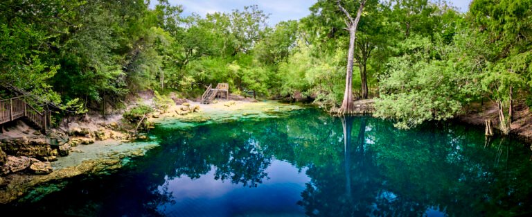 Royal Springs, a spring in Suwannee County, Florida