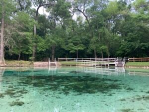 Rum Island Springs on the Santa Fe River, Florida