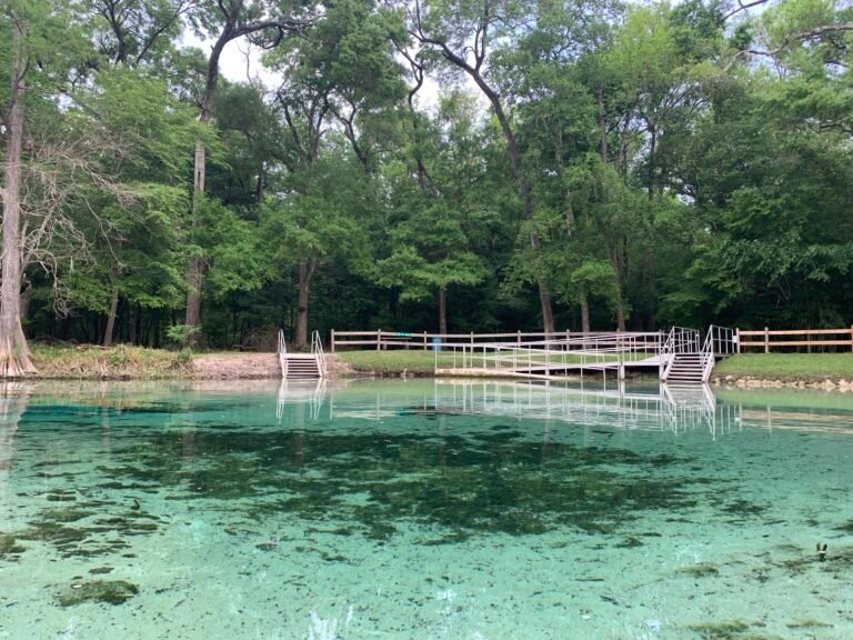 Rum Island Springs on the Santa Fe River, Florida
