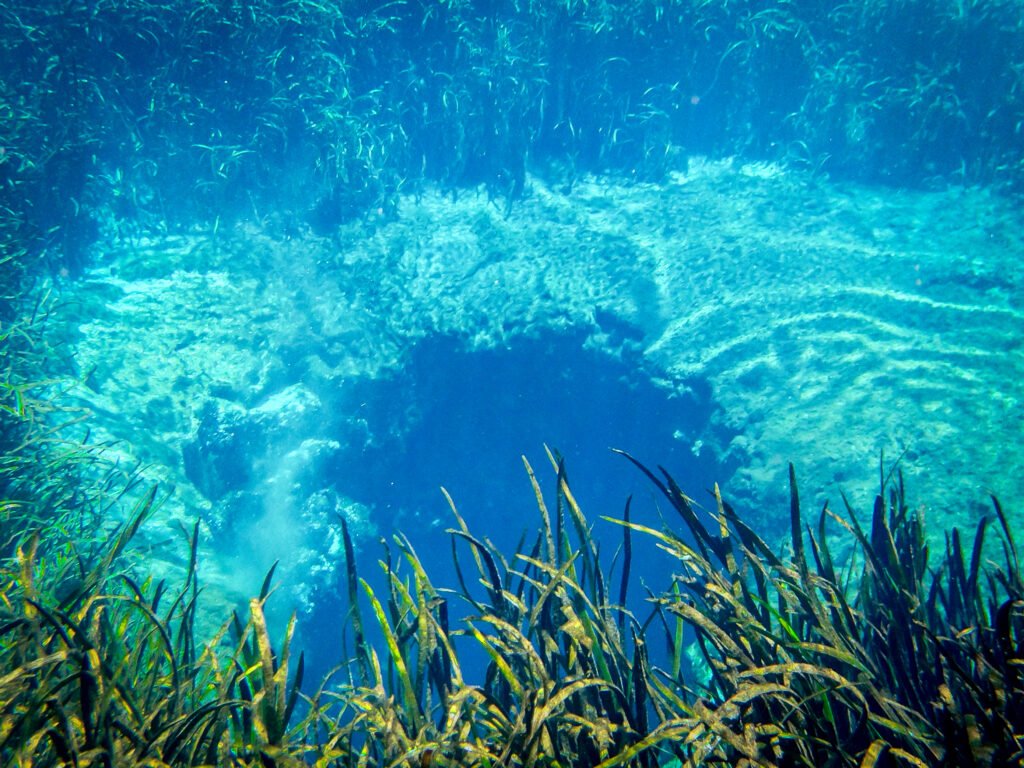 Vivid blue spring boil at Ichetucknee Springs, Florida