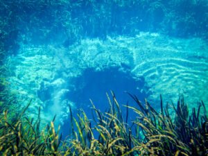 Vivid blue spring boil at Ichetucknee Springs, Florida