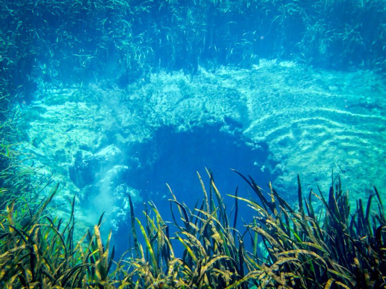 Vivid blue spring boil at Ichetucknee Springs, Florida